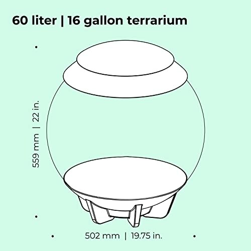 Diagram of a 16 gallon terrarium with dimensions.