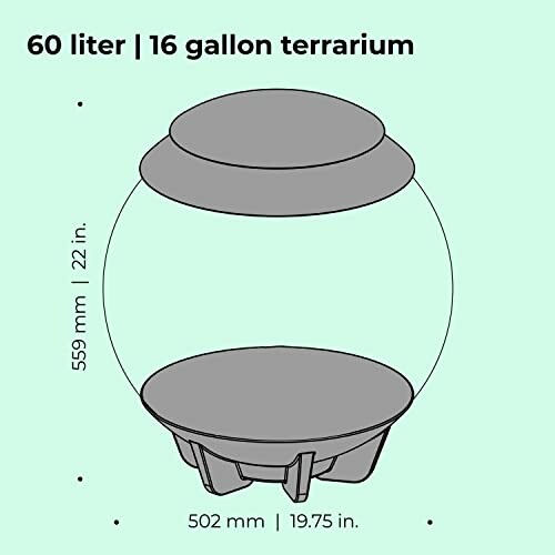 Diagram of a 16-gallon terrarium with dimensions.