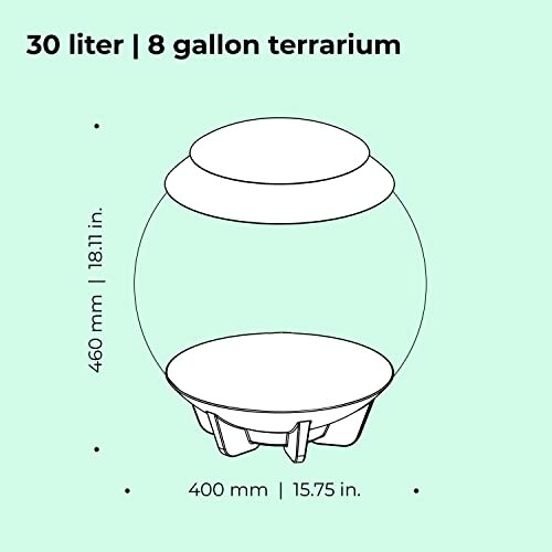 Diagram of a 30 liter, 8 gallon terrarium with dimensions.