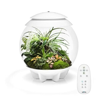 Automated terrarium with plants and remote control