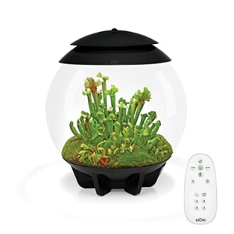 biOrb AIR 30 Terrarium