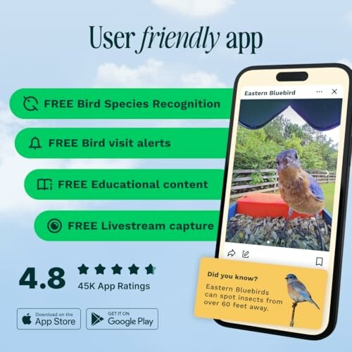 Promo for a user-friendly bird watching app with features like species recognition and visit alerts.