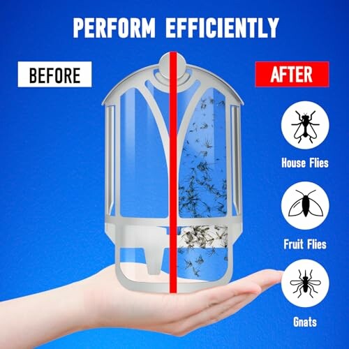 Fly trap showing performance before and after with images of house flies, fruit flies, and gnats.