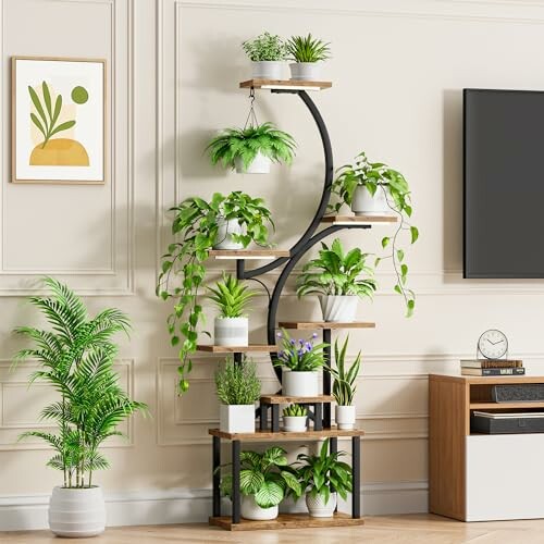 Indoor plant shelf with various potted plants in a living room.