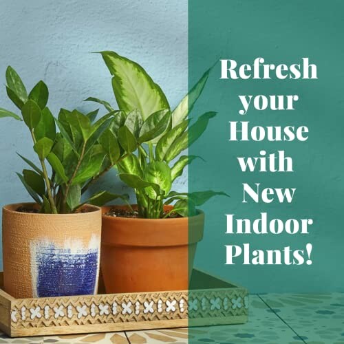 Two potted indoor plants on a decorative tray with text encouraging home refreshment.