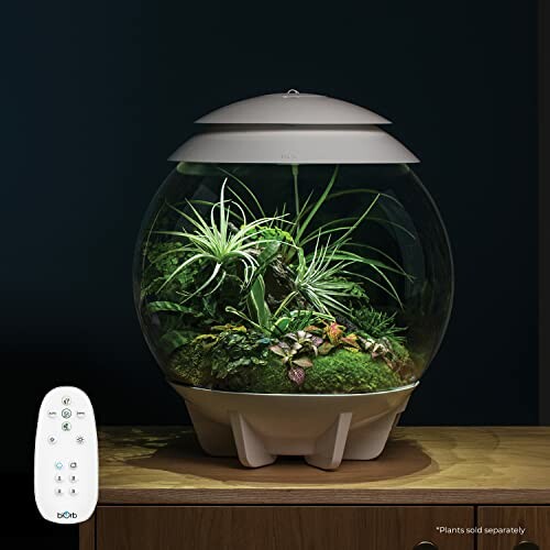 biOrb AIR 30 Terrarium