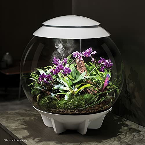 Indoor terrarium with orchids and greenery in a glass sphere.