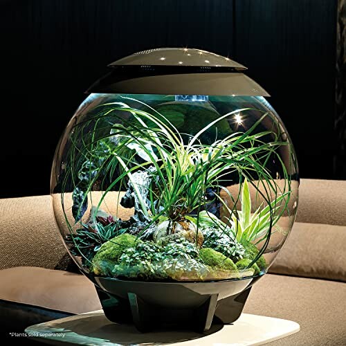 biOrb biOrbAIR 60 LED Terrarium