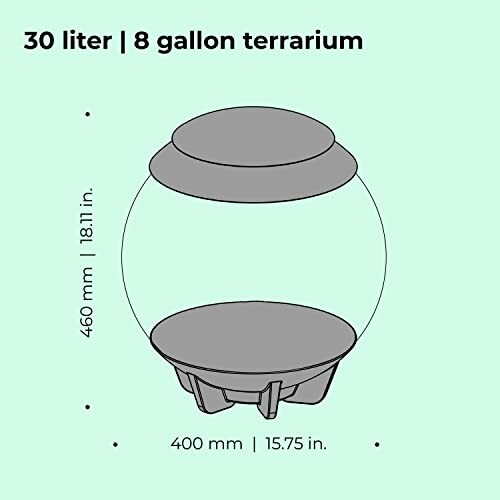 Dimensions of a 30 liter or 8 gallon terrarium with measurements.