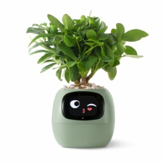 Cute planter with winking face and green plant.